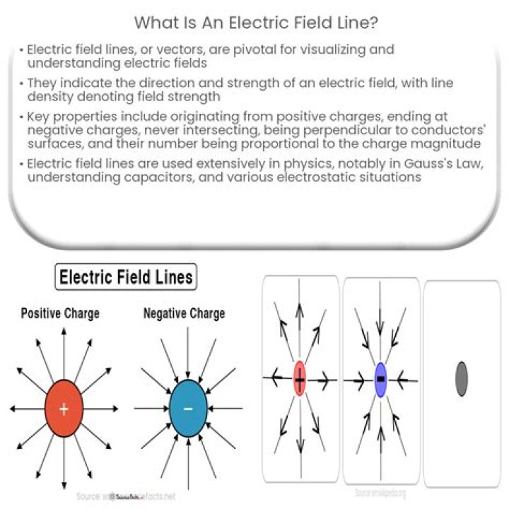 Are electric field lines vectors?