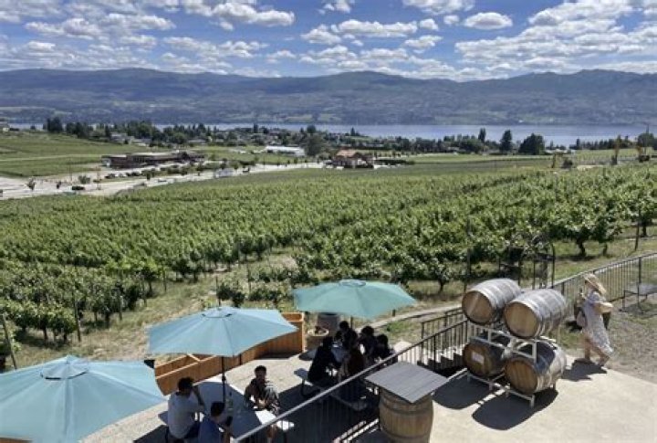 Are Kelowna wineries open for tastings?