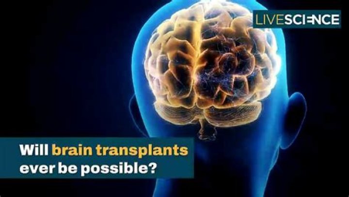 Are larynx transplants possible?