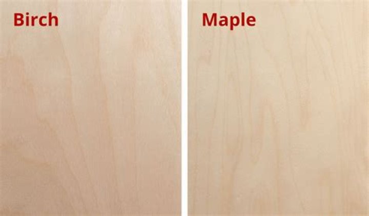 Are maple bats better than birch?