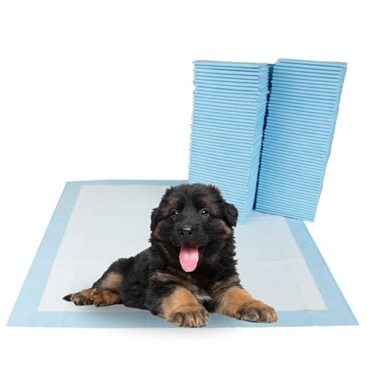 Are pee pads a bad idea for dogs?