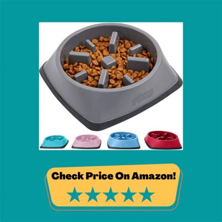 Are Slow bowls good for dogs?