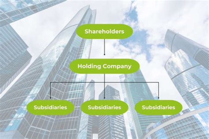 Can a holdings company be an LLC?