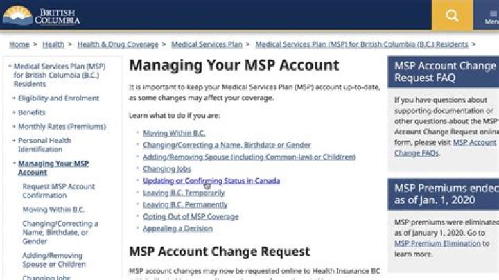 Can I check my MSP account online?
