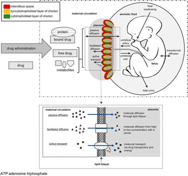 Can methadone be taken safely during pregnancy?