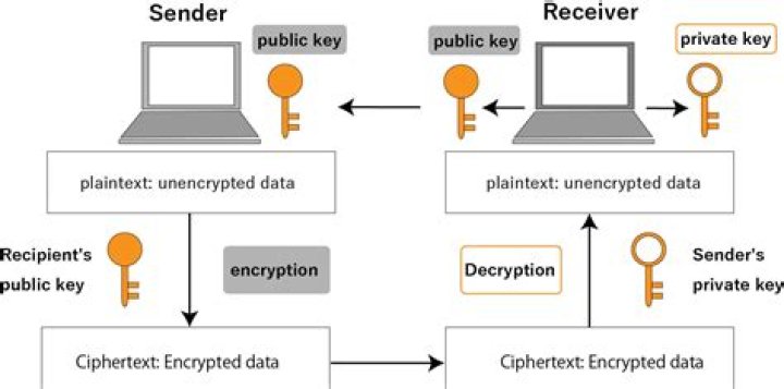 Can public key decrypt public key?