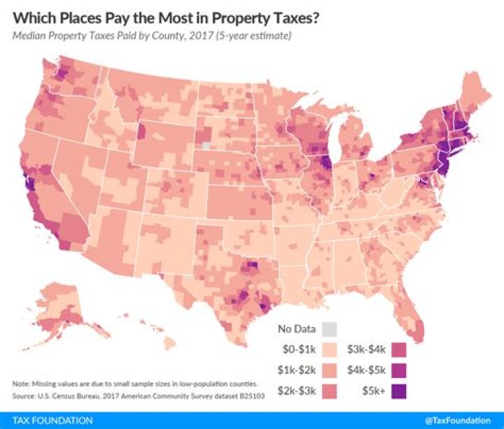 Can someone take your property by paying the taxes in Louisiana?