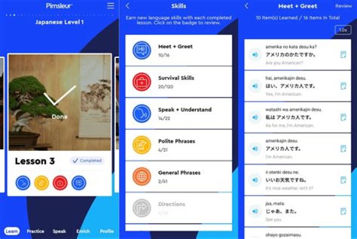 Can you do 2 Pimsleur lesson a day?