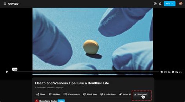 Can you search on Vimeo?