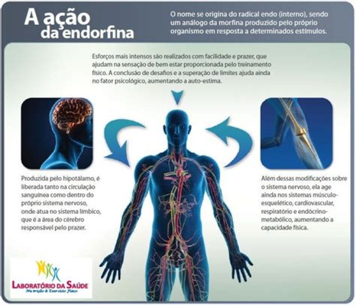 Como funciona a endorfina?