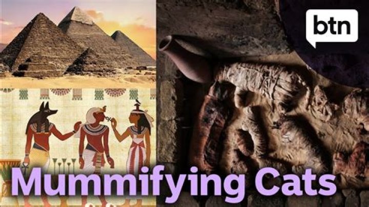 Did ancient Egypt mummify cats?