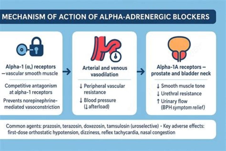 Do alpha-1 blockers cause orthostatic hypotension?