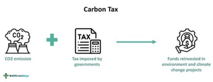 Do individuals pay carbon tax?