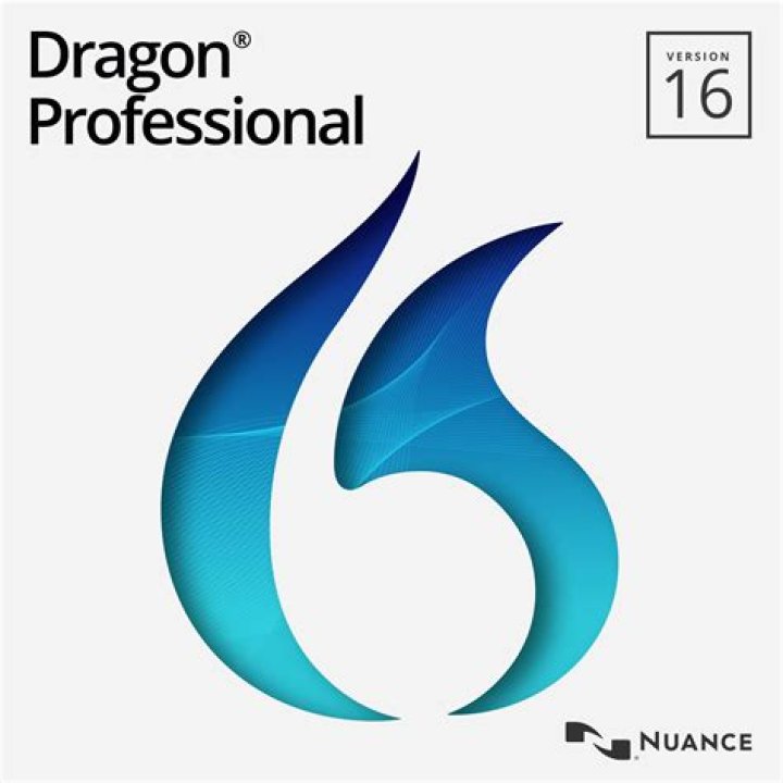 Does Dragon Software Really Work?