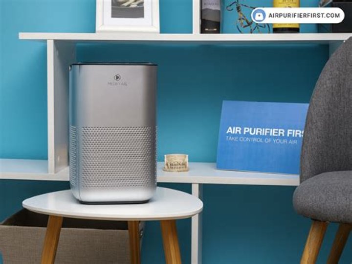 Does Holmes still make air purifiers?