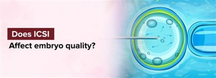 Does ICSI affect embryo quality?