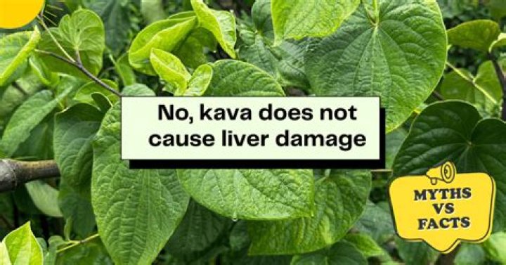 Does kava hurt your liver?