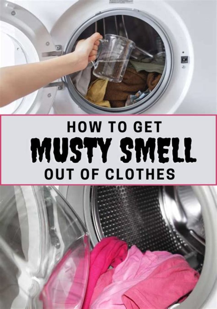 Does mold make your clothes smell?