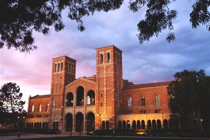 Does UCLA have undergraduate Research?