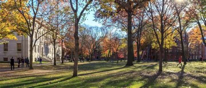 Does UW Madison offer online MBA?