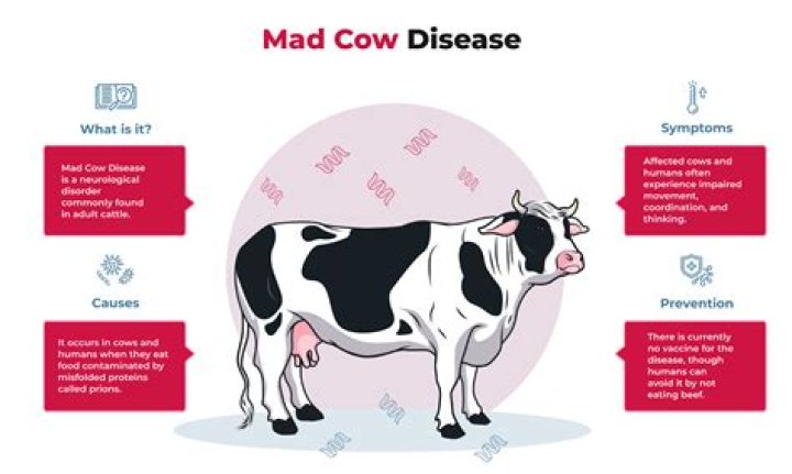 Has the US ever had mad cow disease?