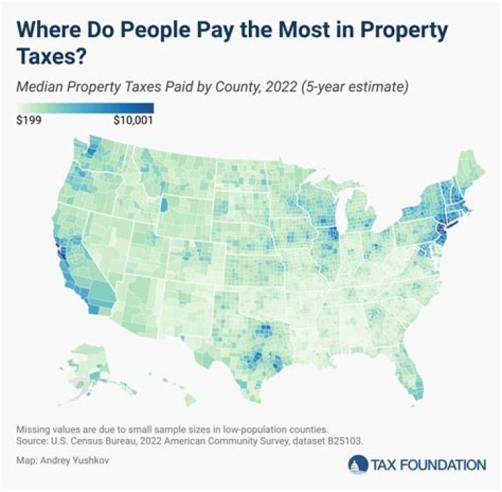 How are property taxes calculated in Horry County?
