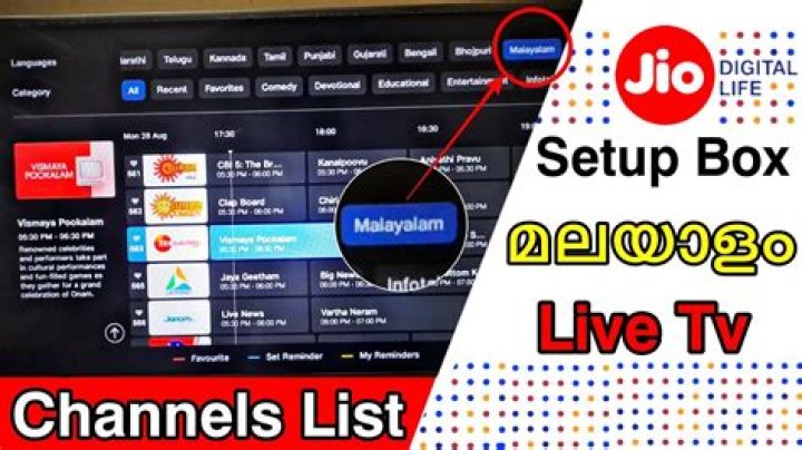 How can I get Malayalam channels in USA?