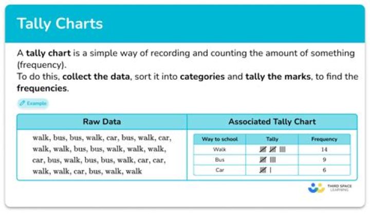 How can I learn complete tally?