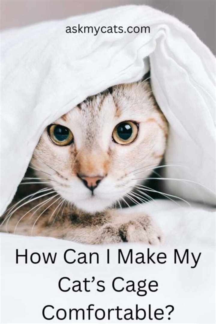 How can I make my bed look glamorous?