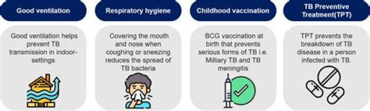 How can we prevent tuberculosis?