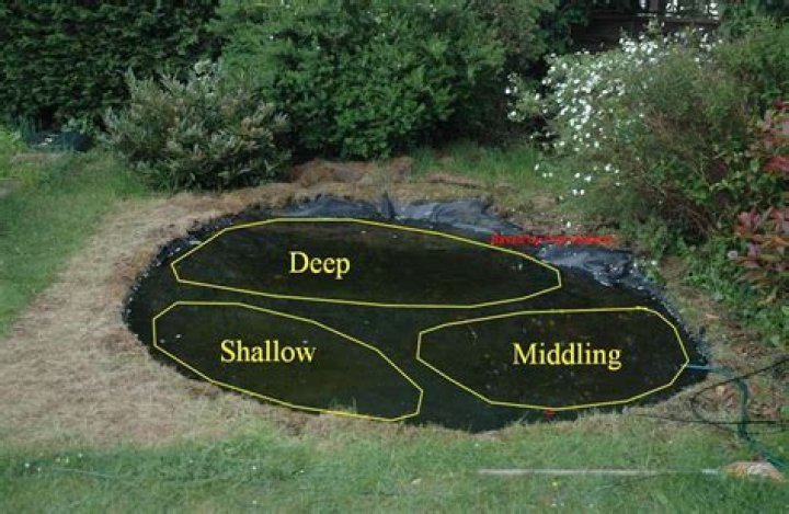How deep should a small garden pond be?