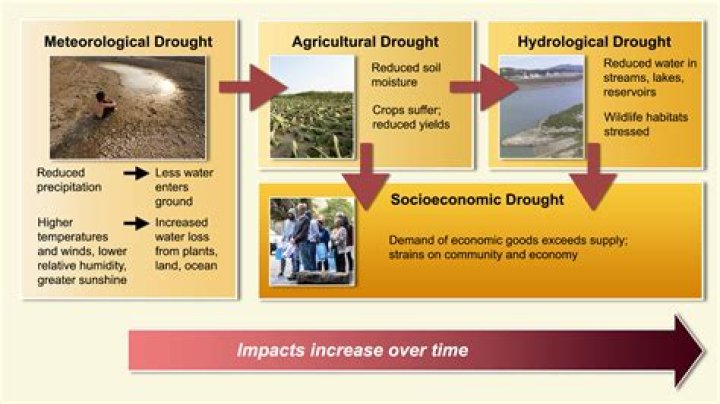 How do droughts affect economic?
