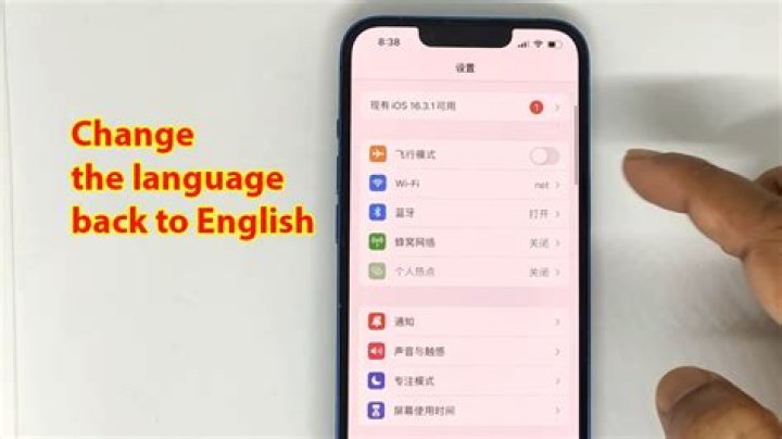 How do I change my Chinese app to English?