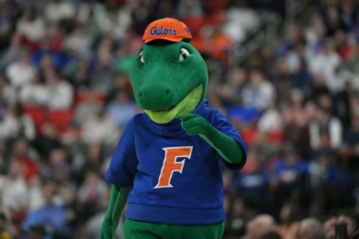 How do I contact UF?