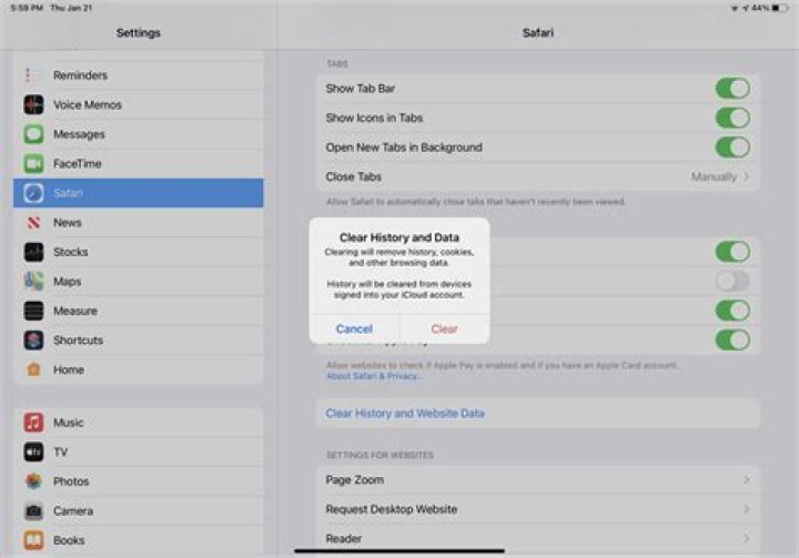 How do I delete recent searches on Safari iPad?