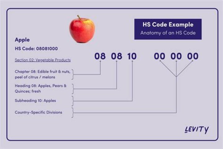 How do I find out HS code?