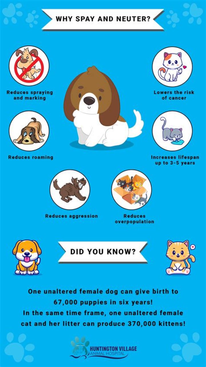 How do I get a free spay or neuter?