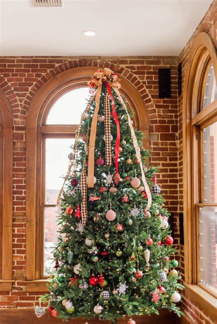 How do I get rid of my Christmas tree in Albuquerque?