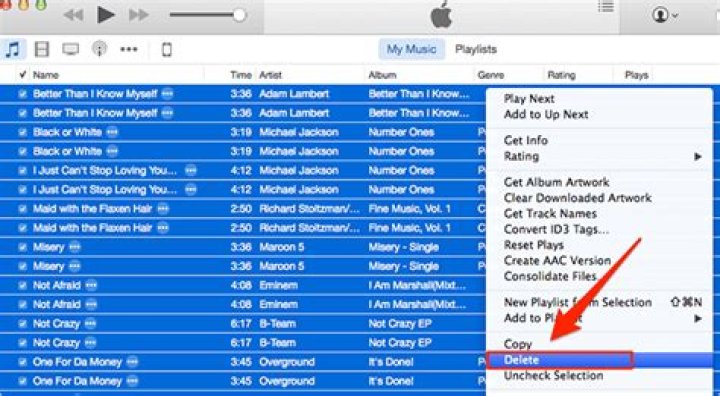 How do I remove duplicate songs on my IPAD?
