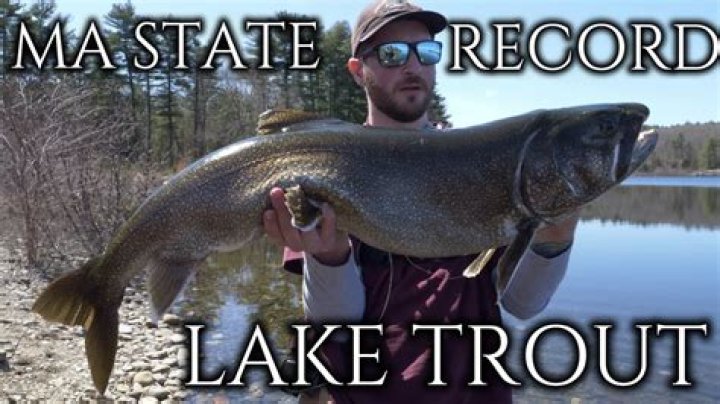 How do you catch lake trout at Bear Lake?