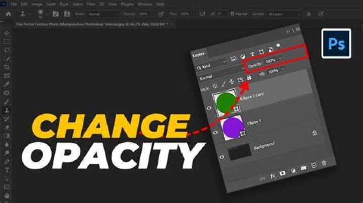How do you change opacity in JavaScript?