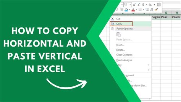 How do you copy and paste special in Excel VBA?