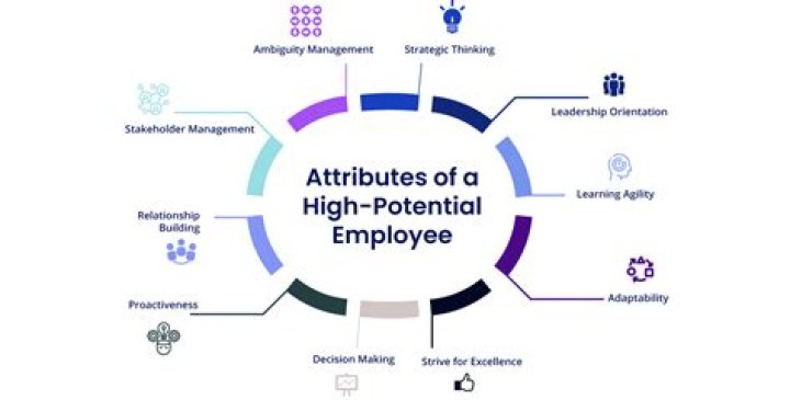 How do you identify high potential employees?