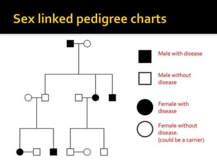 How do you know if a pedigree chart is sex linked?