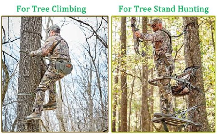 How do you know where to put your treestand?