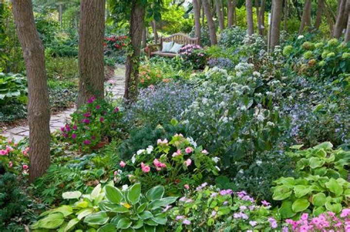 How do you layout a shade garden?