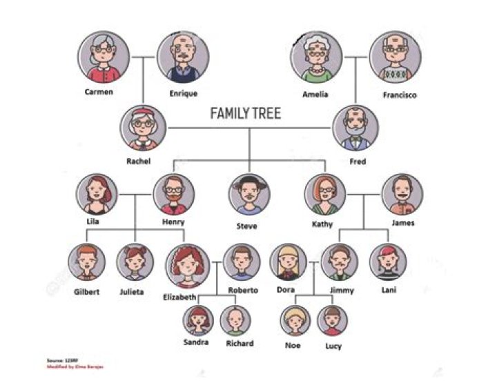 How do you put a picture on a family tree?