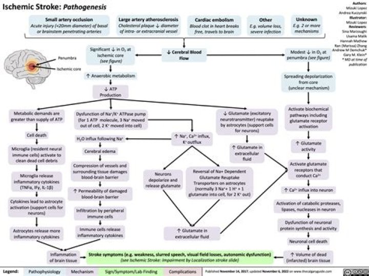 How do you reduce cerebral ischemia?