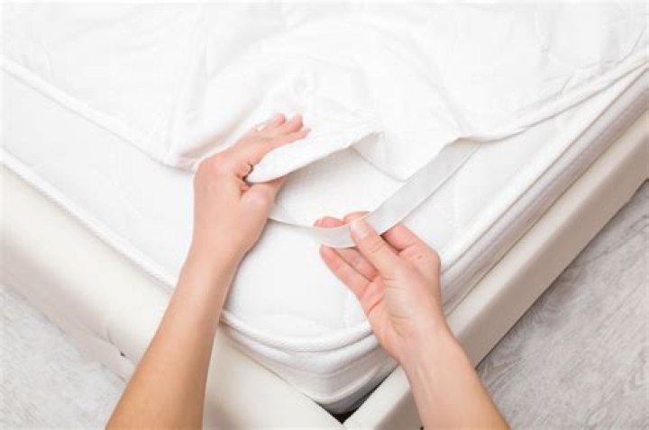 How do you use a morphing potion?