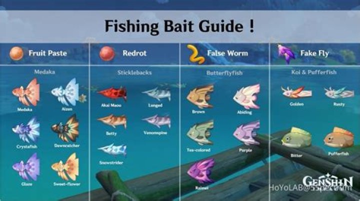How do you use bait for fishing in Terraria?